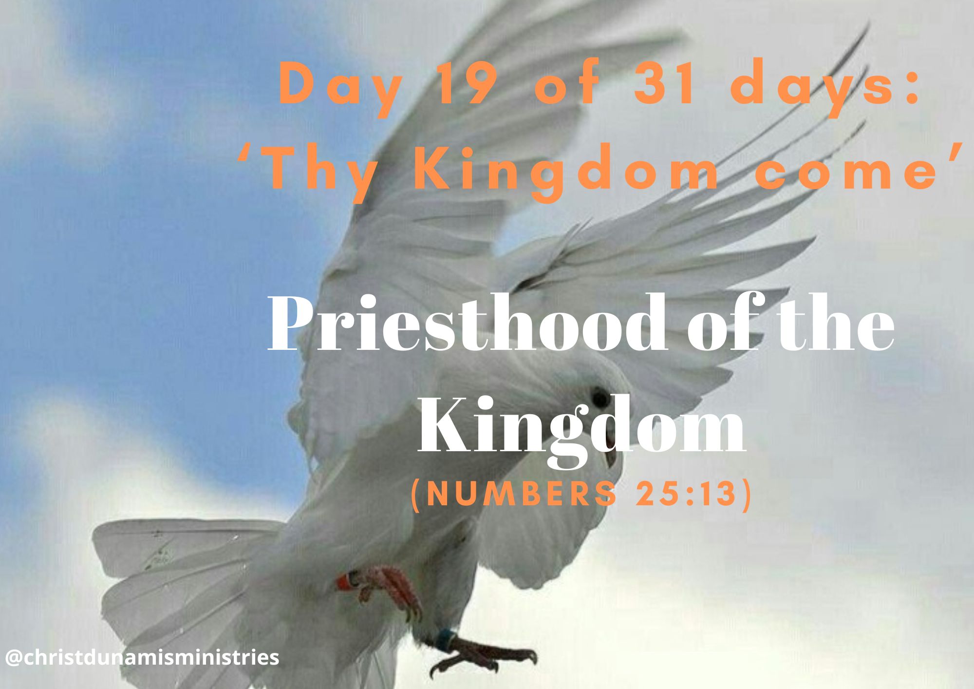 Day 19 of 31 days: ‘Thy Kingdom come’ – Priesthood of the Kingdom
