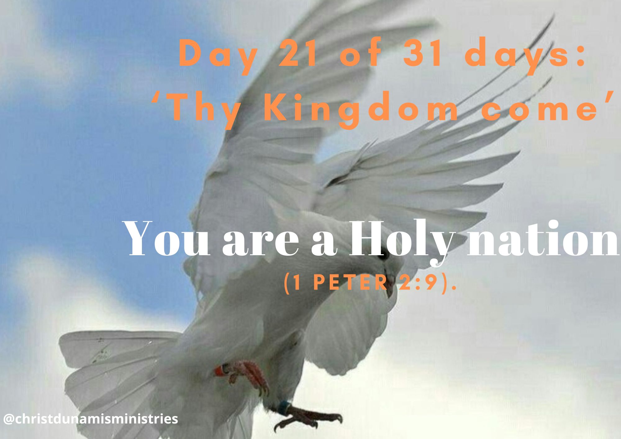 You are a Holy nation