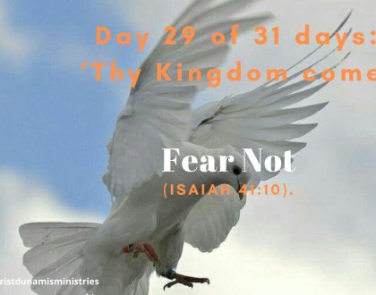 Fear Not