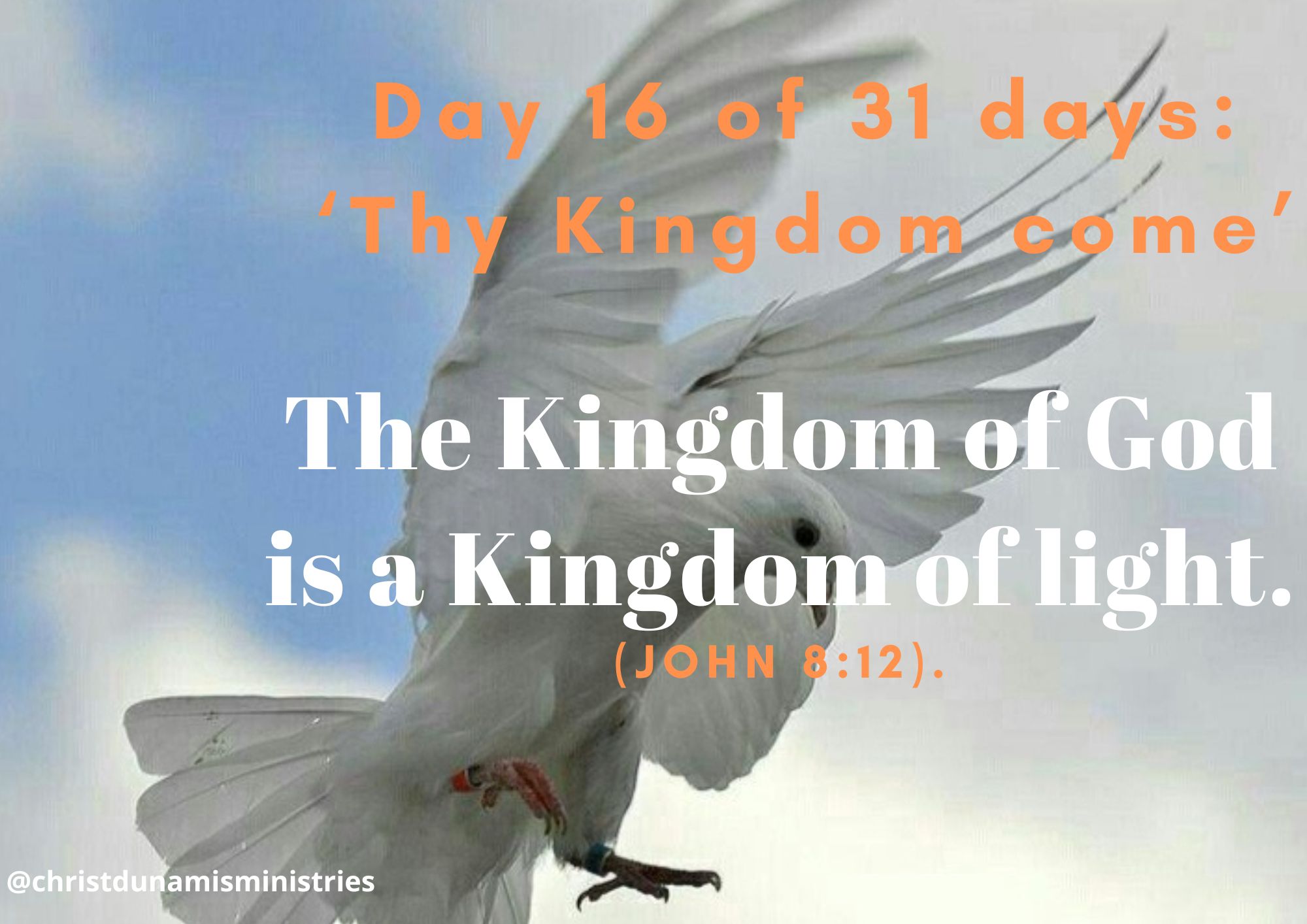 Day 16 of 31 days: ‘Thy Kingdom come’ – The Kingdom of God is a Kingdom of light.