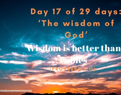 Wisdom is better than rubies