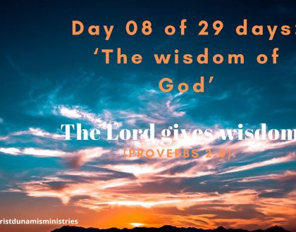 Day 8 of 29 days: ‘The wisdom of God’ – The Lord gives wisdom