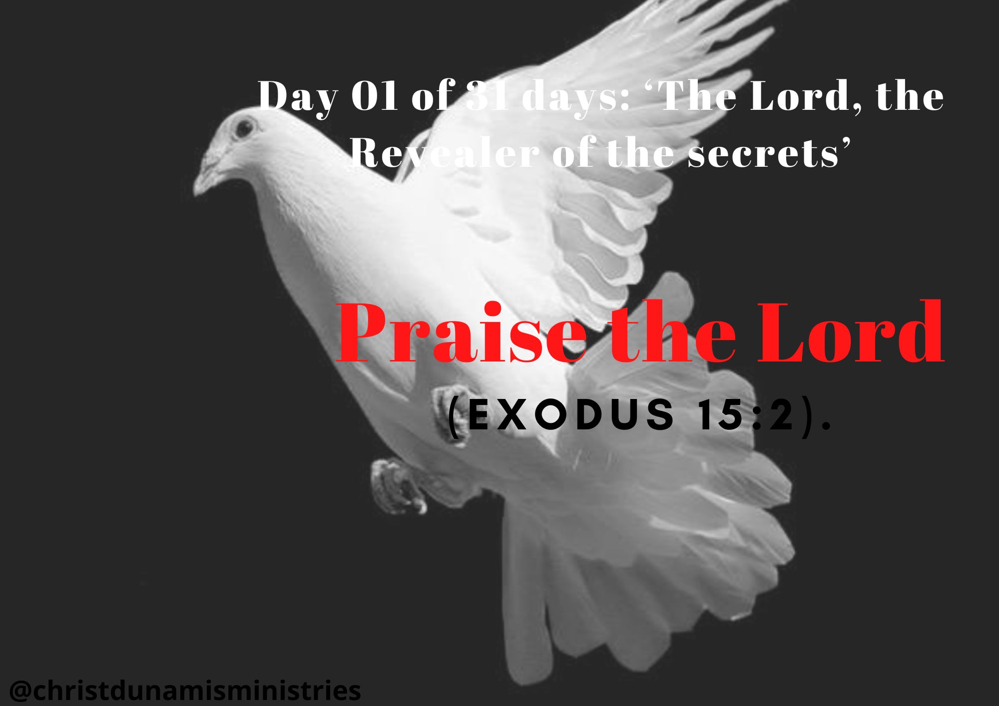 Praise the Lord