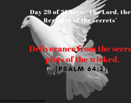 Deliverance from the secret plots of the wicked.