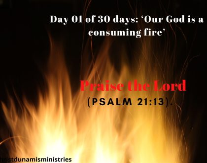 Praise the Lord