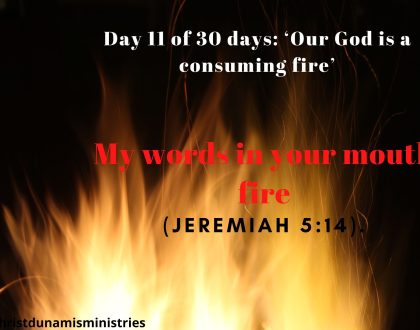 My words in your mouth fire