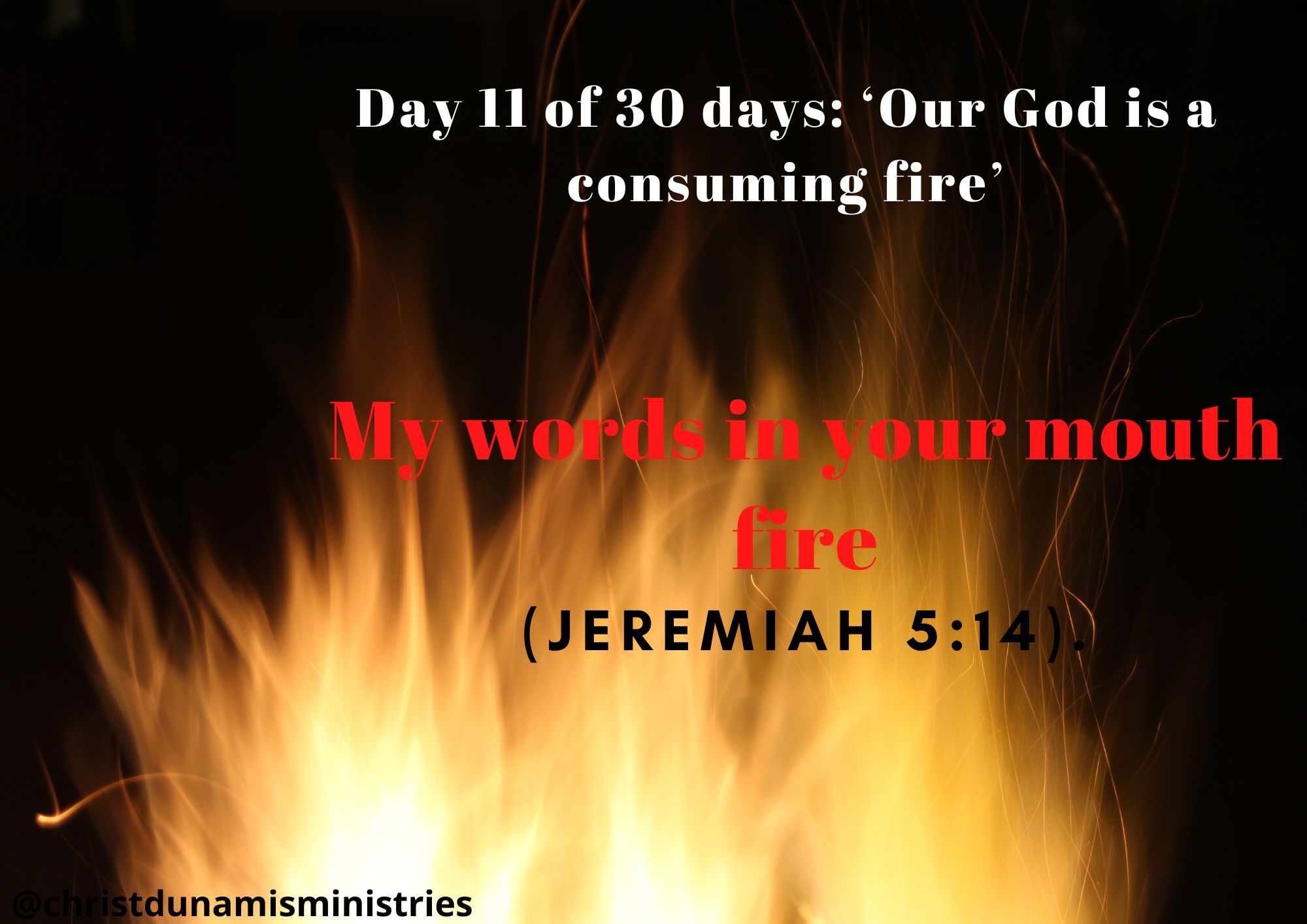 My words in your mouth fire