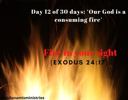 Fire in your sight