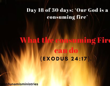 What the consuming Fire can do