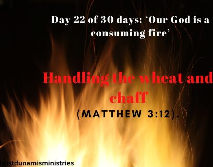 Handling the wheat and chaff