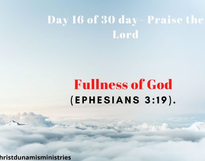 Fullness of God