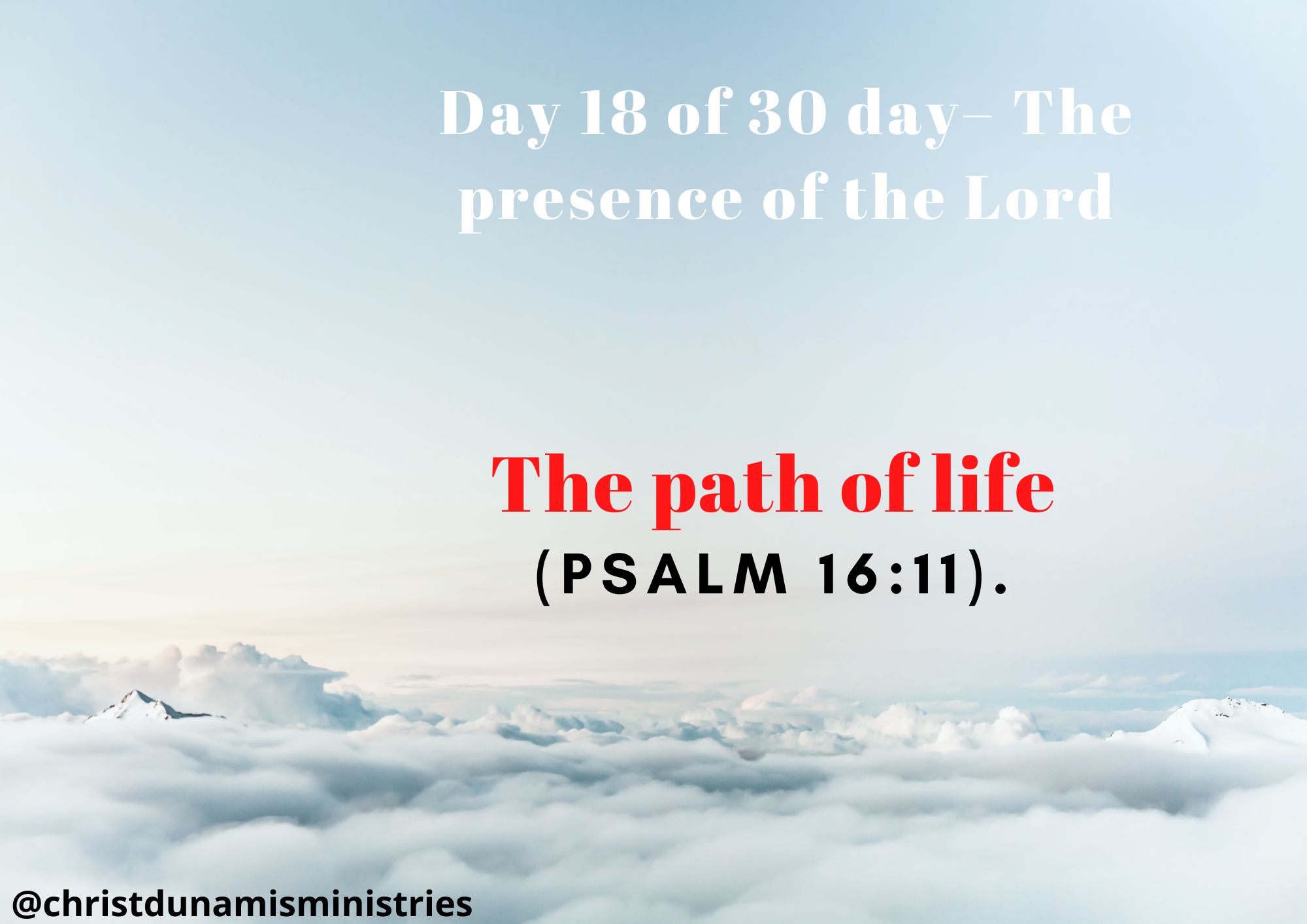 The path of life