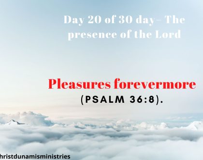 Pleasures forevermore