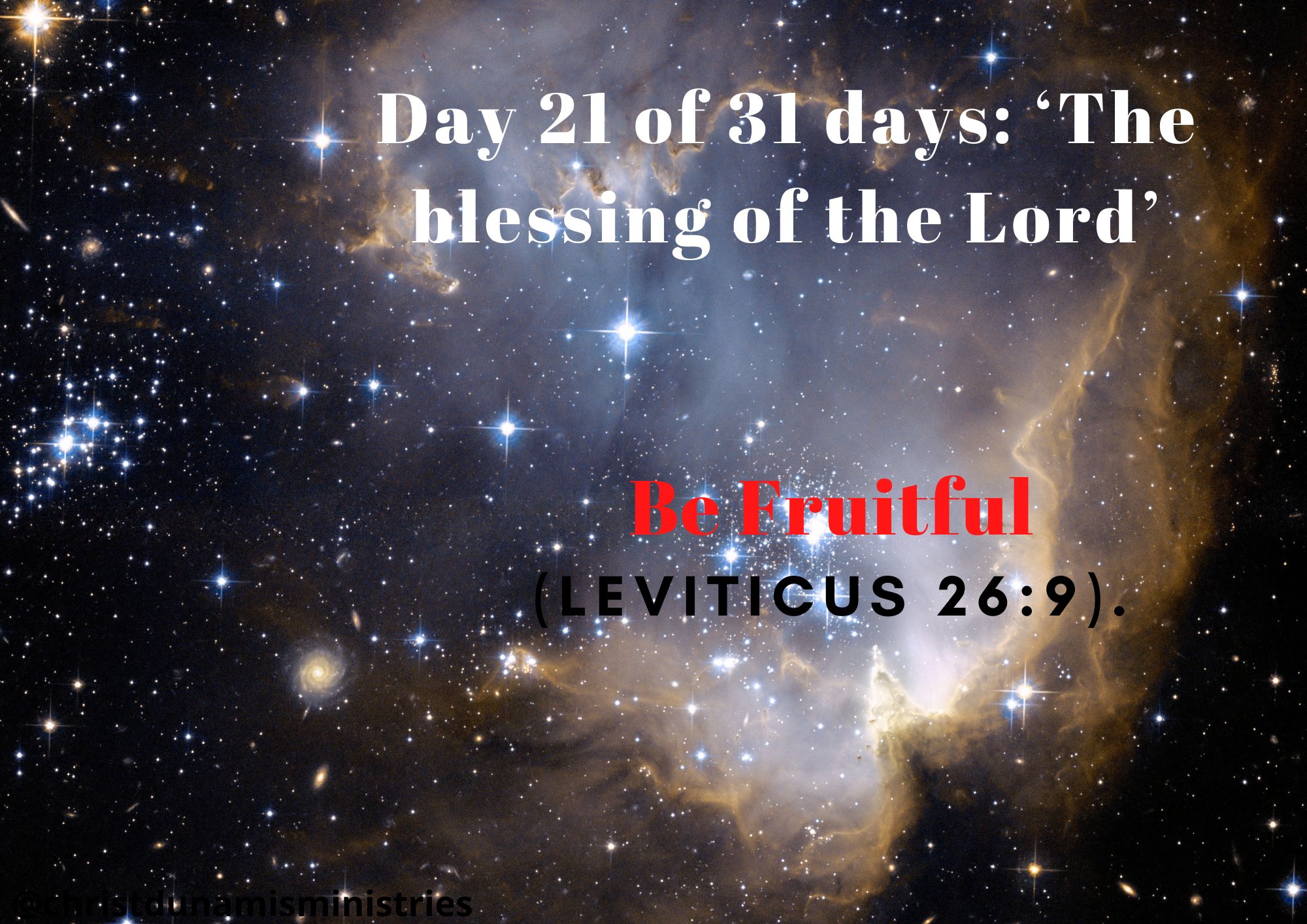 Day 21 of 31 days: ‘The blessing of the Lord’ – Be fruitful