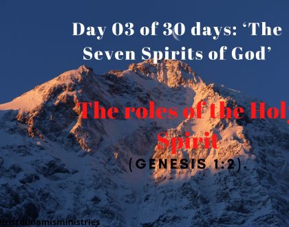 Day 03 of 30 days: ‘The Seven Spirits of God’ – The roles of the Holy Spirit