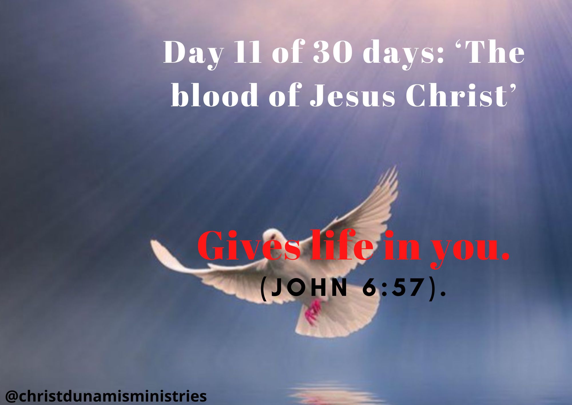 Day 11 of 30 days: ‘The blood of Jesus Christ’ – Gives life in you.
