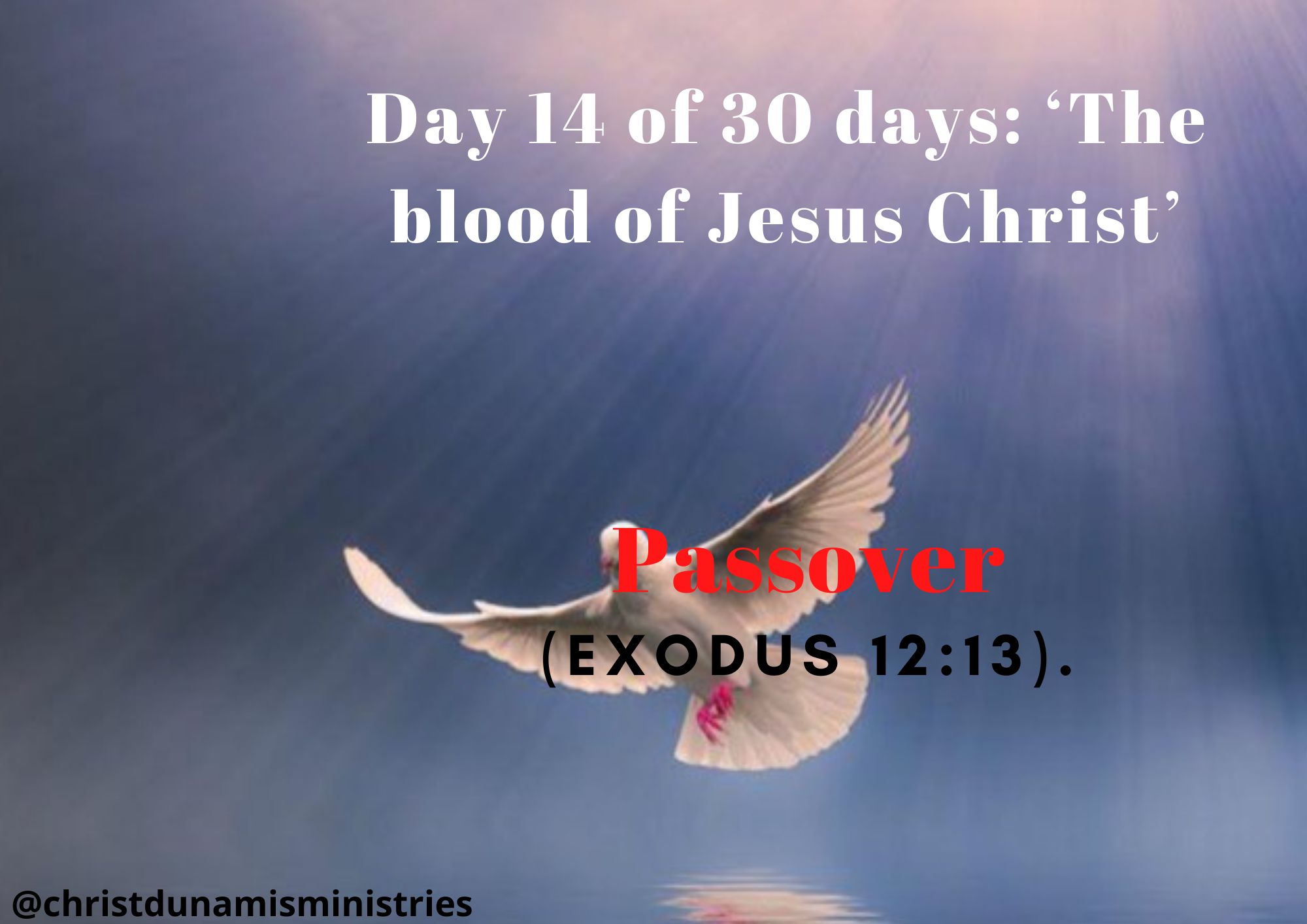 Day 14 of 30 days: ‘The blood of Jesus Christ’ – Passover