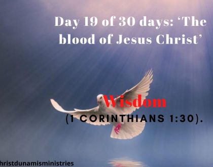 Day 19 of 30 days: ‘The blood of Jesus Christ’ – Wisdom