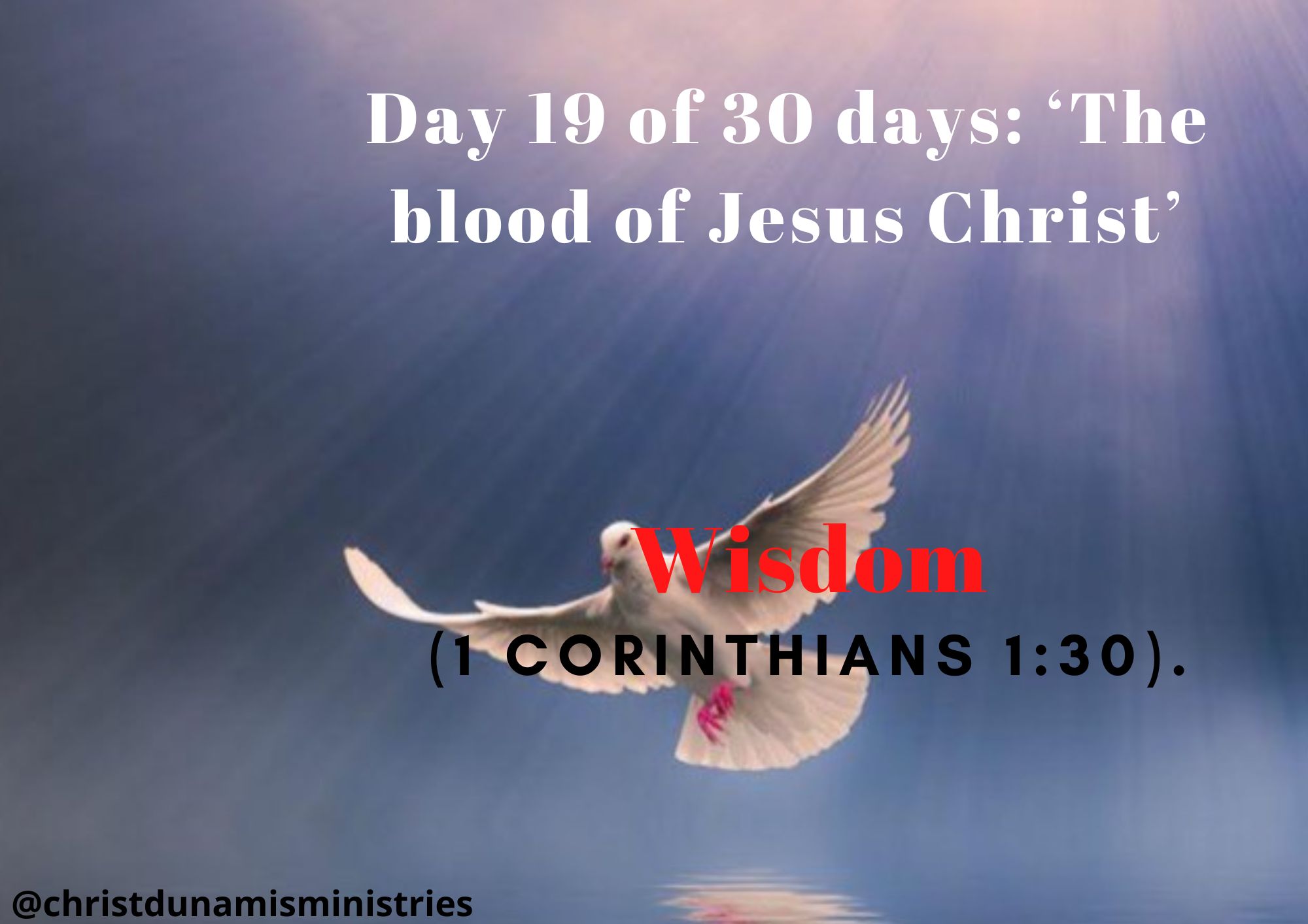 Day 19 of 30 days: ‘The blood of Jesus Christ’ – Wisdom