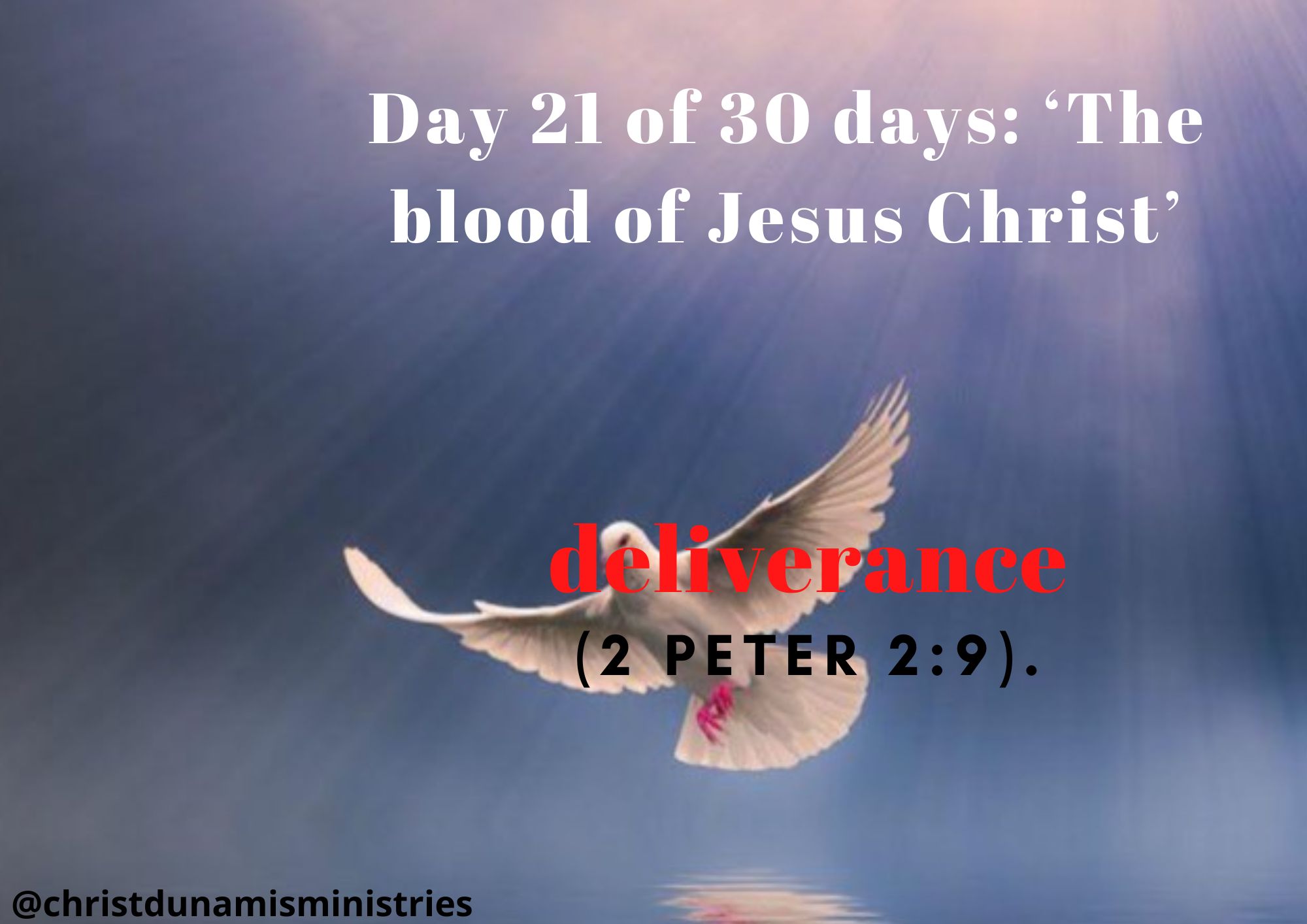 Day 21 of 30 days: ‘The blood of Jesus Christ’ – deliverance