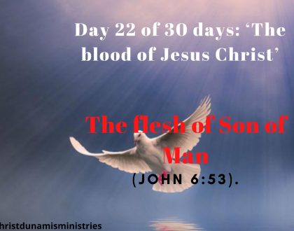Day 22 of 30 days: ‘The blood of Jesus Christ’ – The flesh of Son of Man