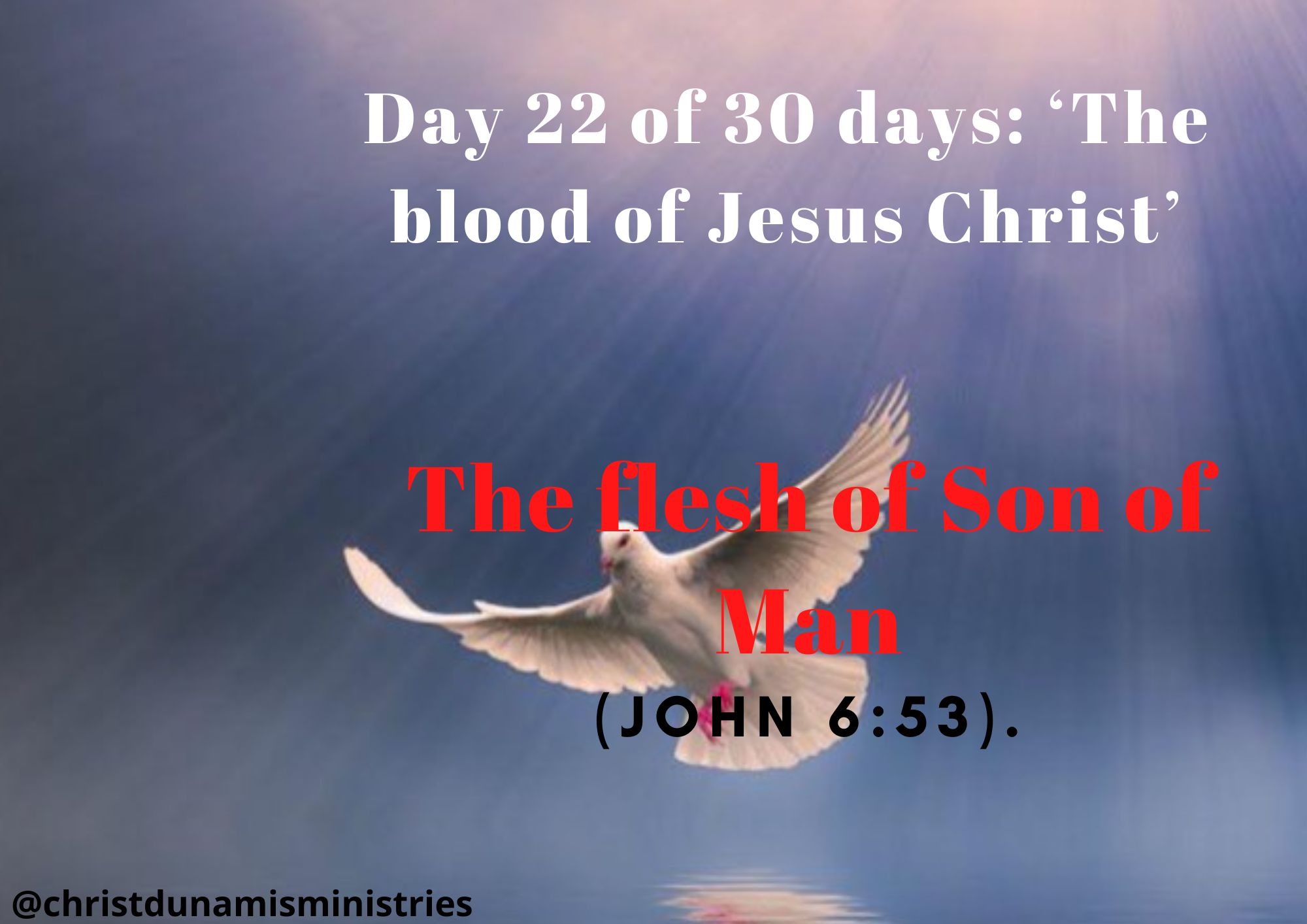 Day 22 of 30 days: ‘The blood of Jesus Christ’ – The flesh of Son of Man