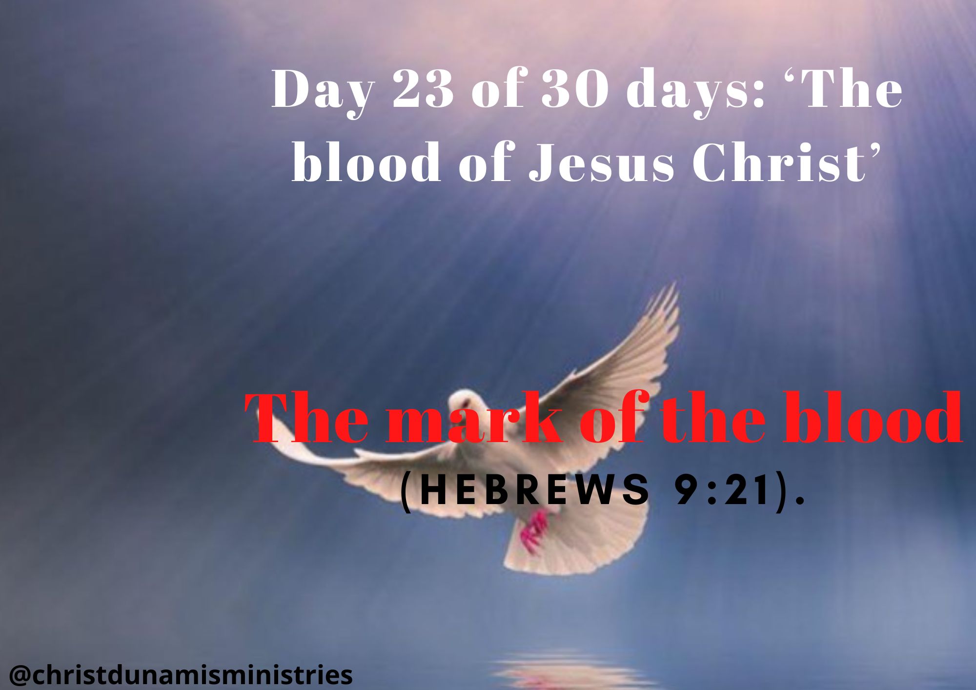 Day 23 of 30 days: ‘The blood of Jesus Christ’ – The mark of the blood