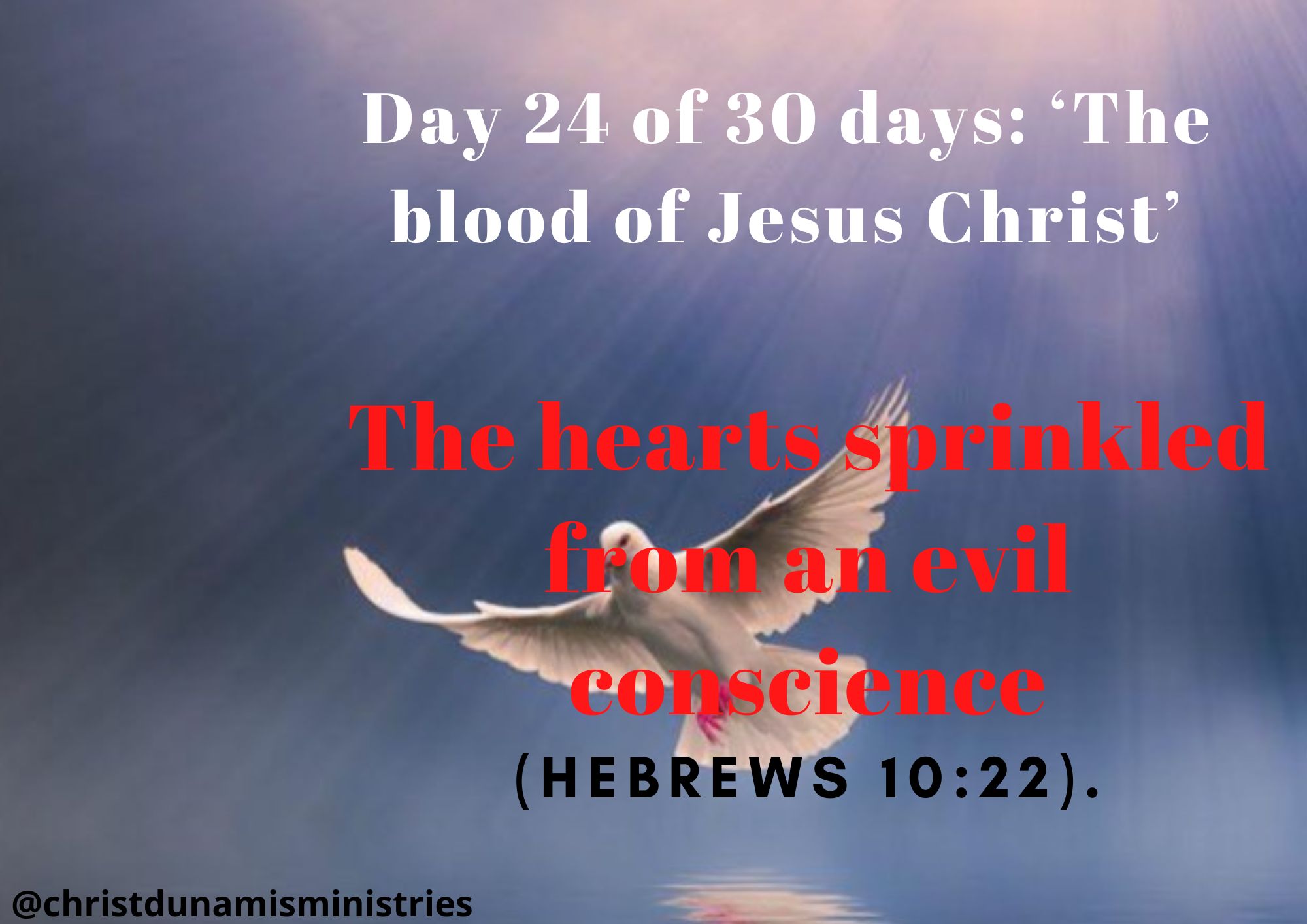 Day 24 of 30 days: ‘The blood of Jesus Christ’ – The hearts sprinkled from an evil conscience