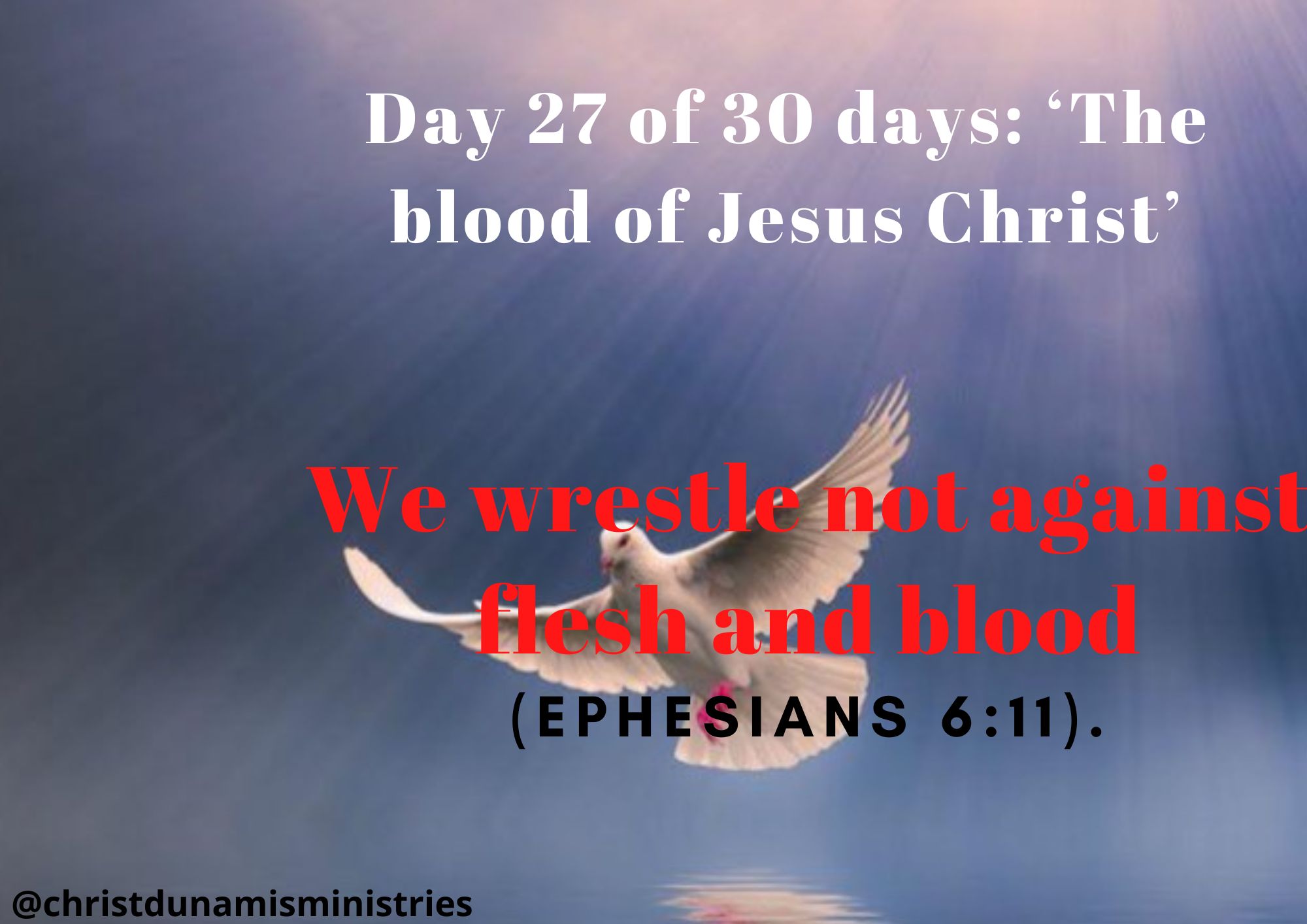 Day 27 of 30 days: ‘The blood of Jesus Christ’ – We wrestle not against flesh and blood