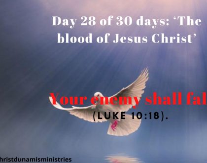 Day 28 of 30 days: ‘The blood of Jesus Christ’ – Your enemy shall fall