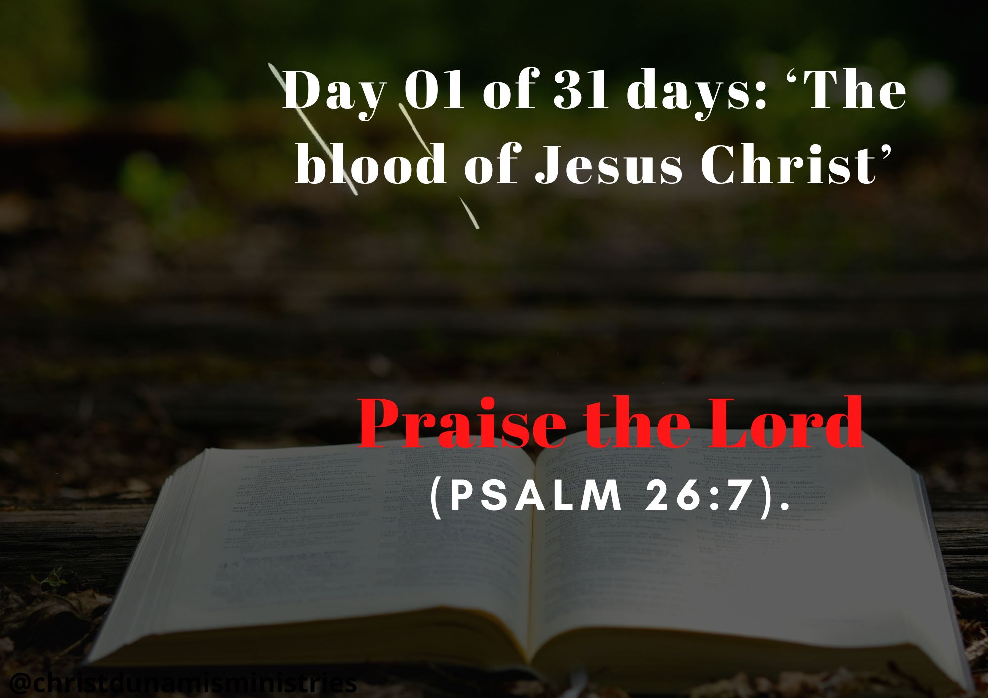 Day 01 of 31 days: ‘The blood of Jesus Christ’ – Praise the Lord