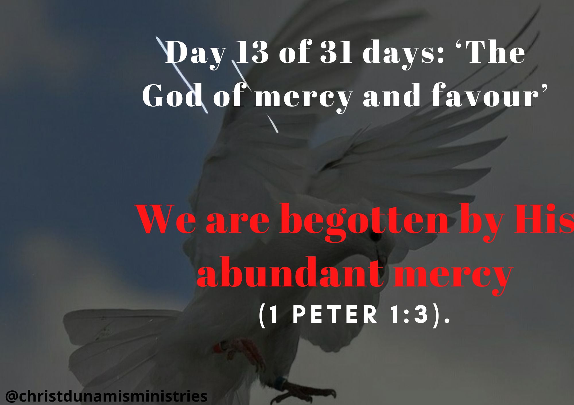 Day 13 of 31 days: ‘The God of mercy and favour’ – We are begotten by His abundant mercy