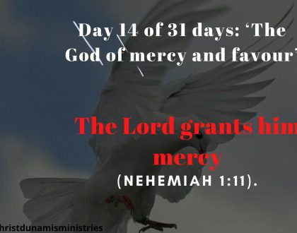 Day 14 of 31 days: ‘The God of mercy and favour’ – The Lord grants him mercy