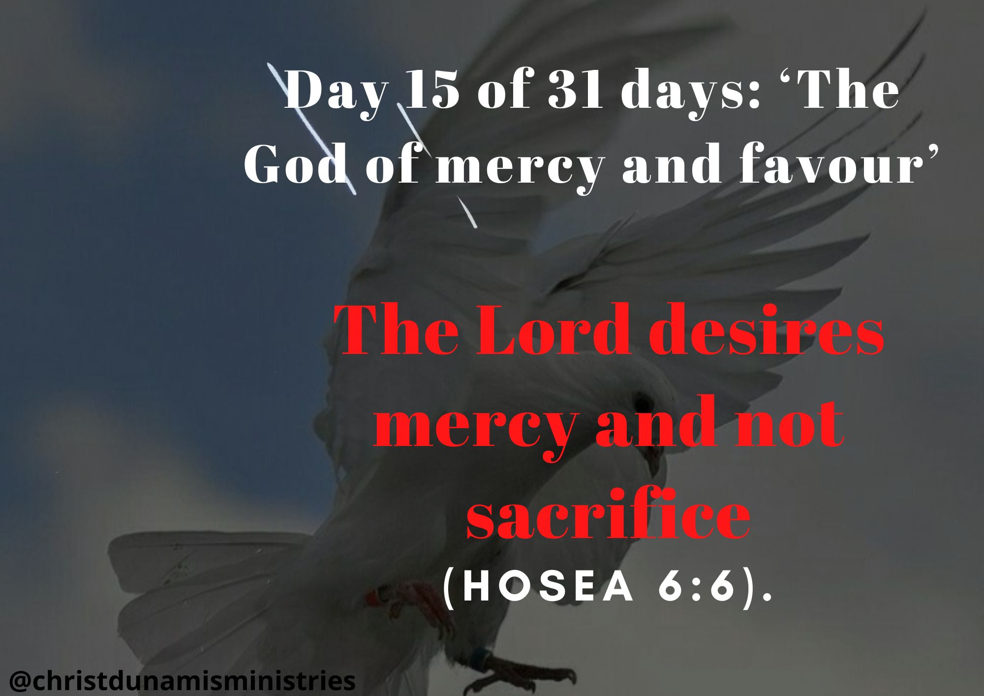 Day 15 of 31 days: ‘The God of mercy and favour’ – The Lord desires mercy and not sacrifice