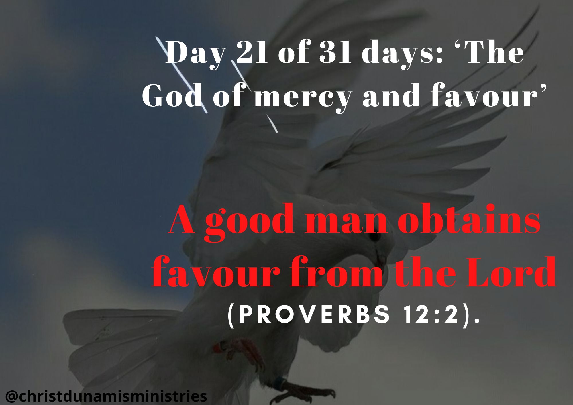 Day 21 of 31 days: ‘The God of mercy and favour’ – A good man obtains favour from the Lord