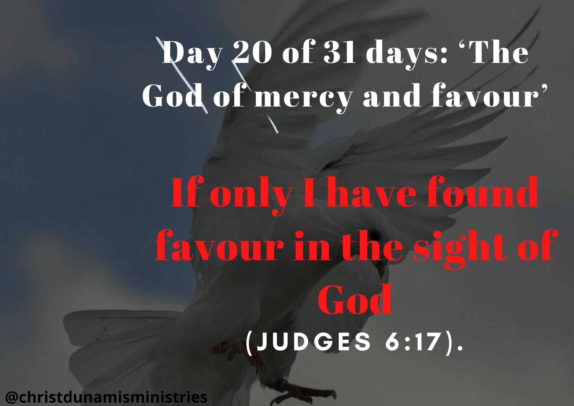 Day 20 of 31 days: ‘The God of mercy and favour’ – If only I have found favour in the sight of God