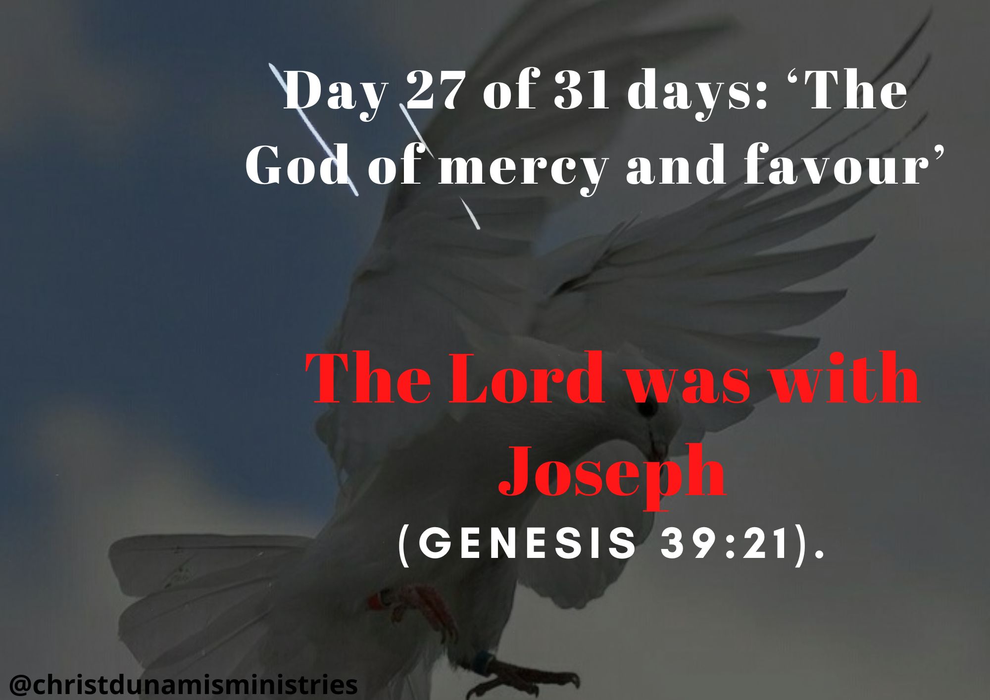 Day 27 of 31 days: ‘The God of mercy and favour’ – The Lord was with Joseph