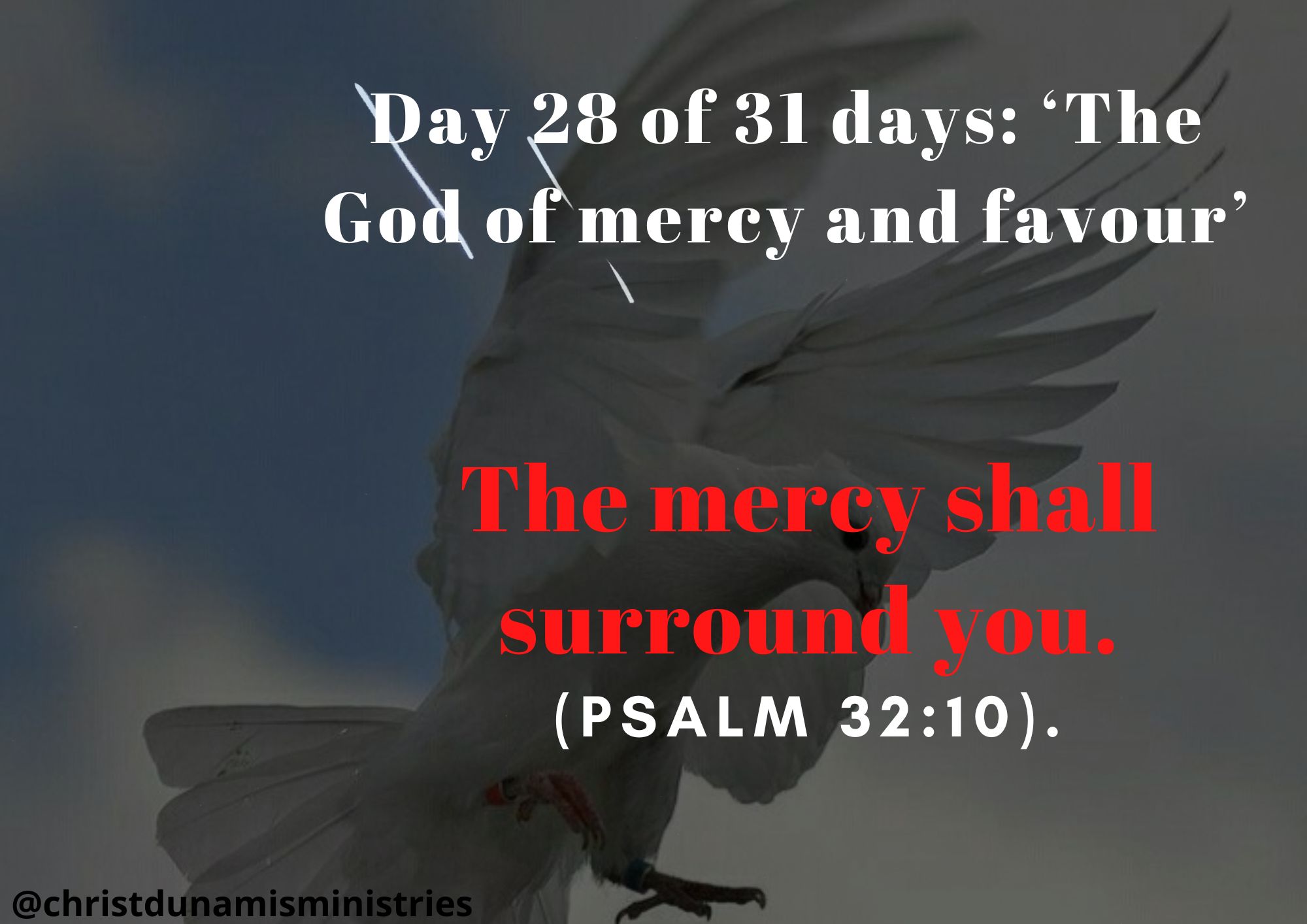 Day 28 of 31 days: ‘The God of mercy and favour’ – The mercy shall surround you.
