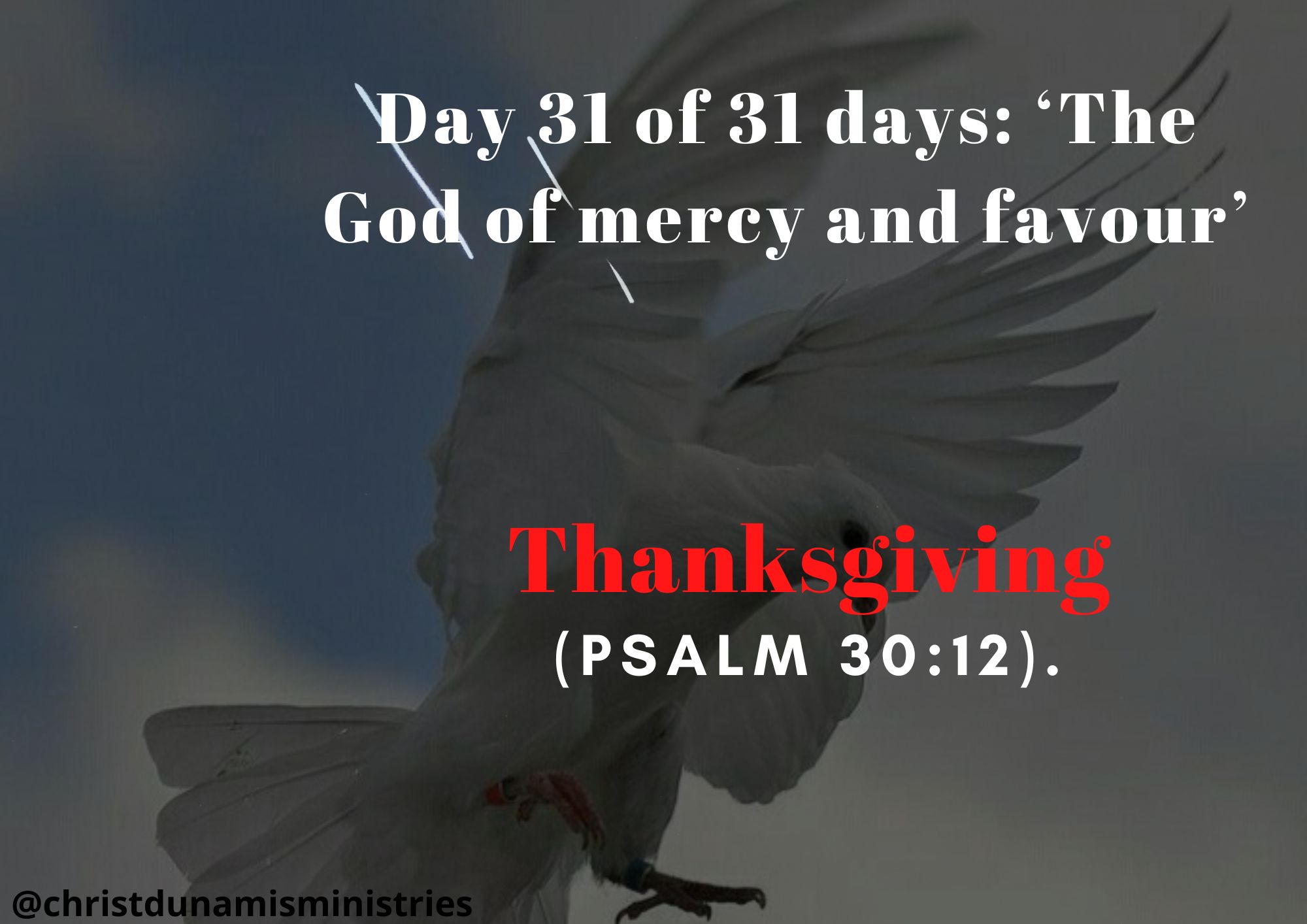 Day 31 of 31 days: ‘The God of mercy and favour’ – Thanksgiving 