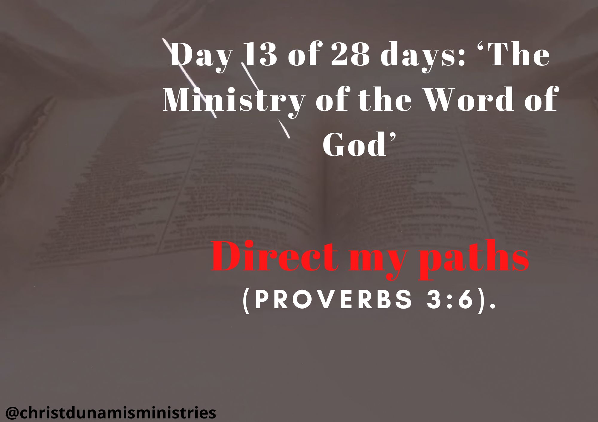 Day 13 of 28 days: ‘The Ministry of the Word of God’ – Direct my paths