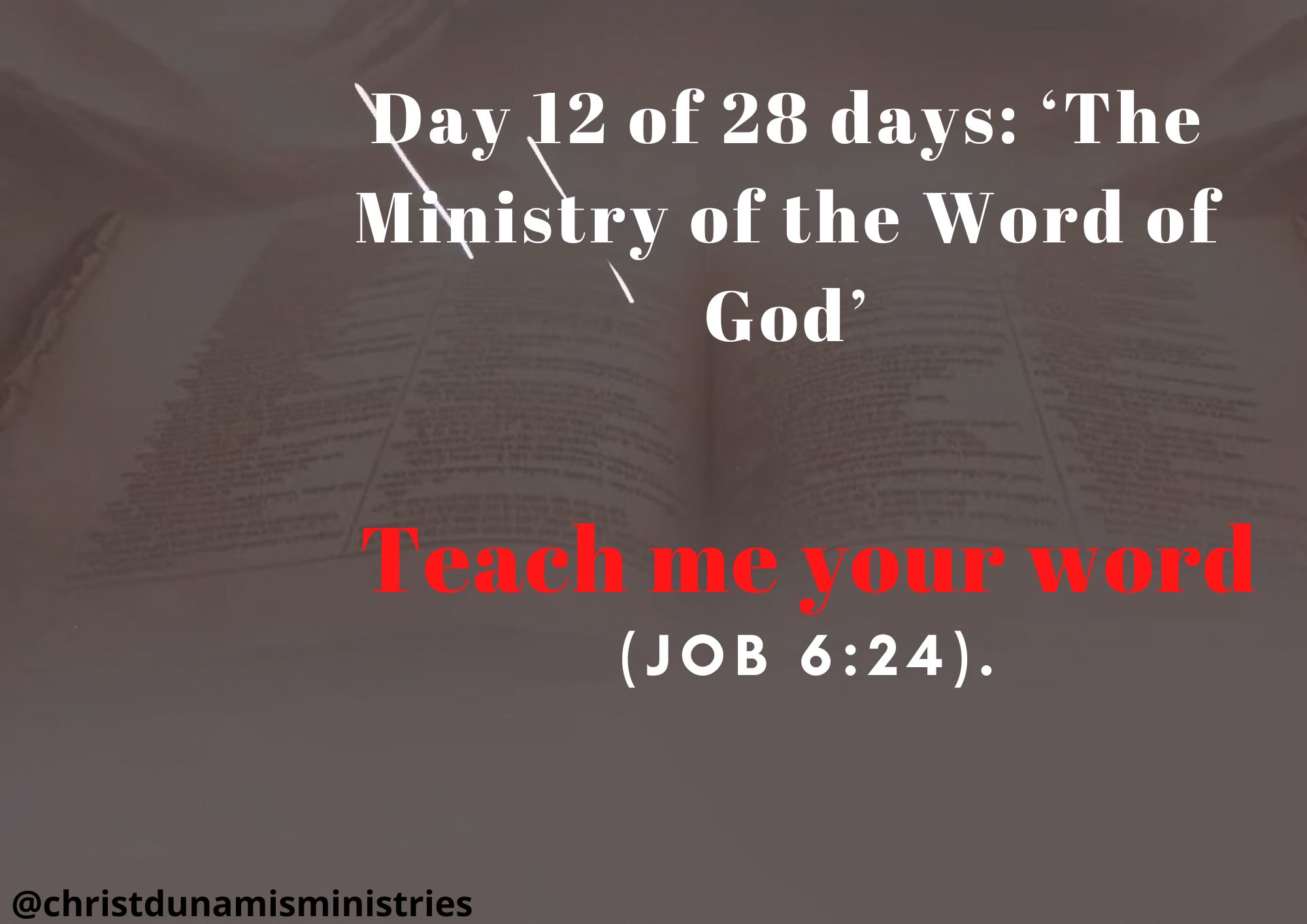 Day 12 of 28 days: ‘The Ministry of the Word of God’ – Teach me Your Word