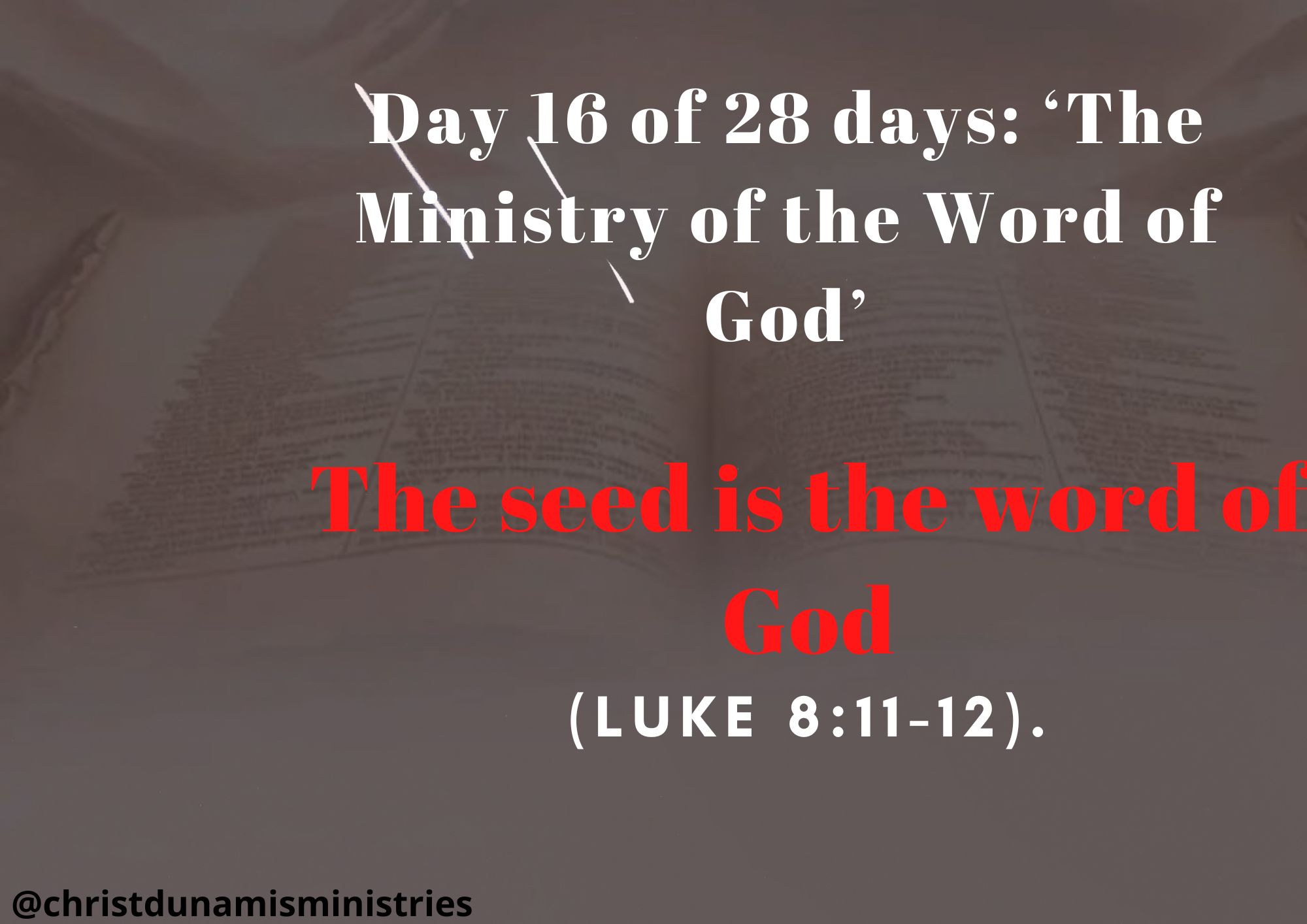 Day 16 of 28 days: ‘The Ministry of the Word of God’ – The seed is the word of God.