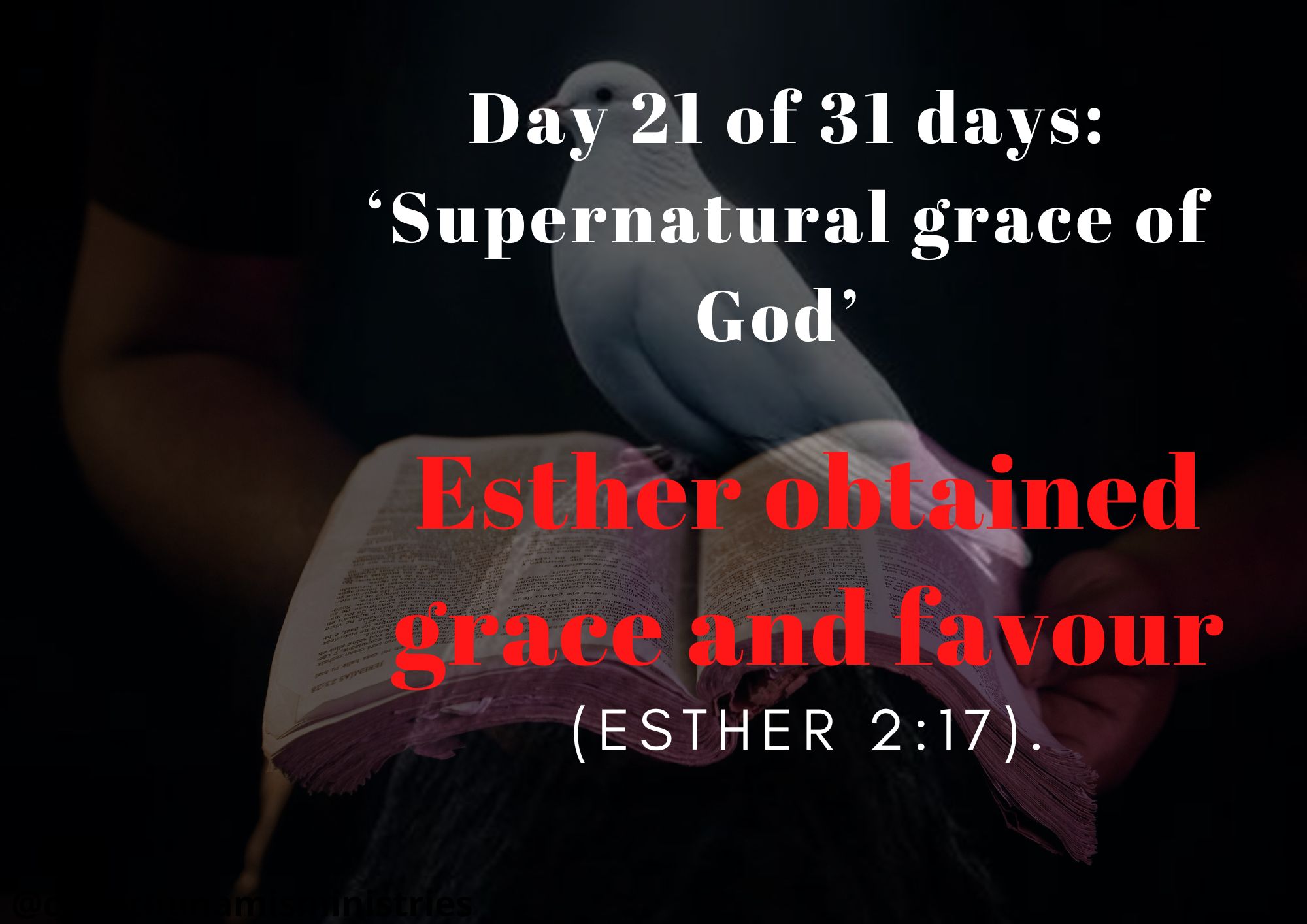 Day 21 of 31 days: ‘Supernatural grace of God’ – Esther obtained grace and favour