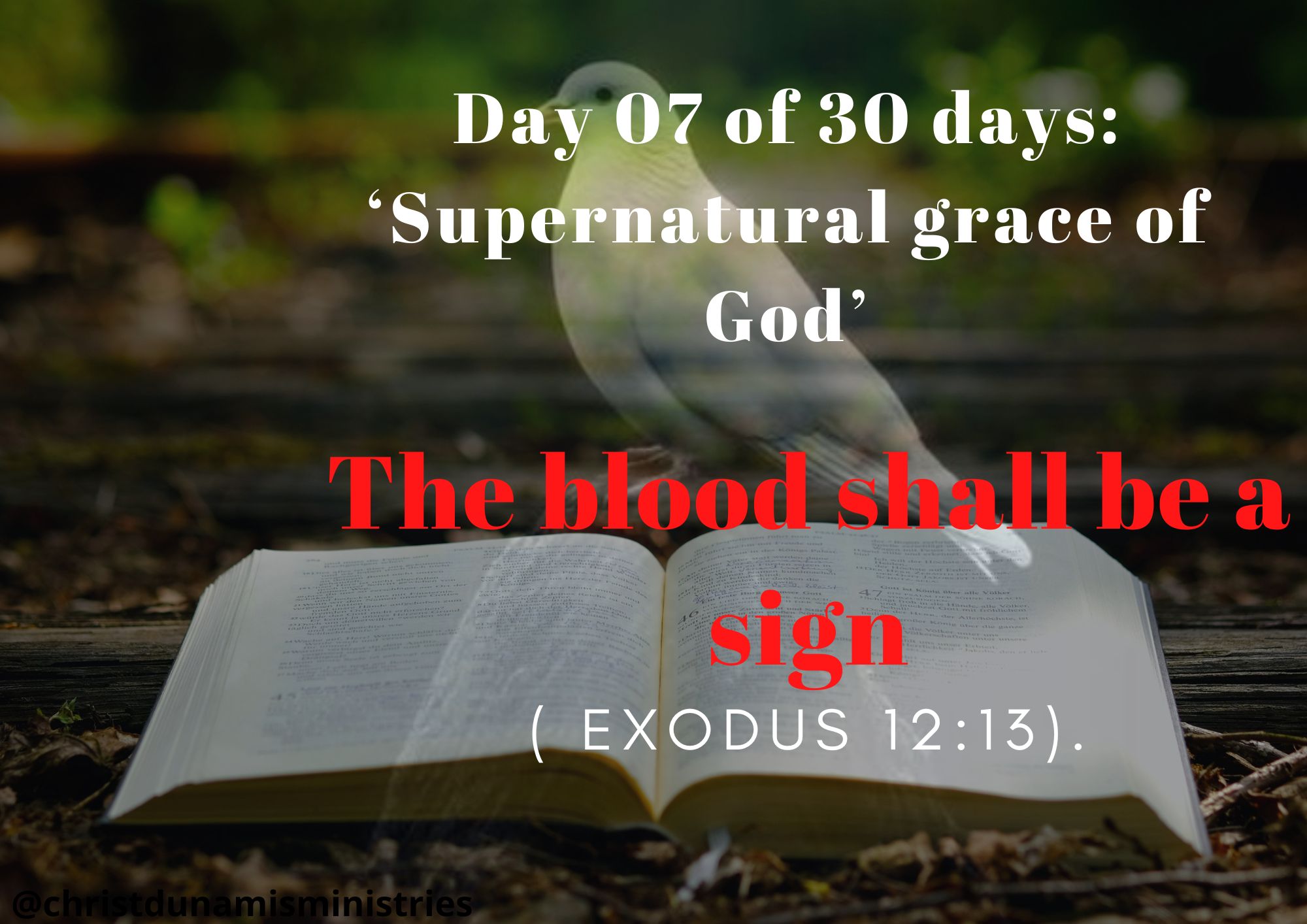 Day 07 of 30 days: ‘The signs of God’ – The blood shall be a sign