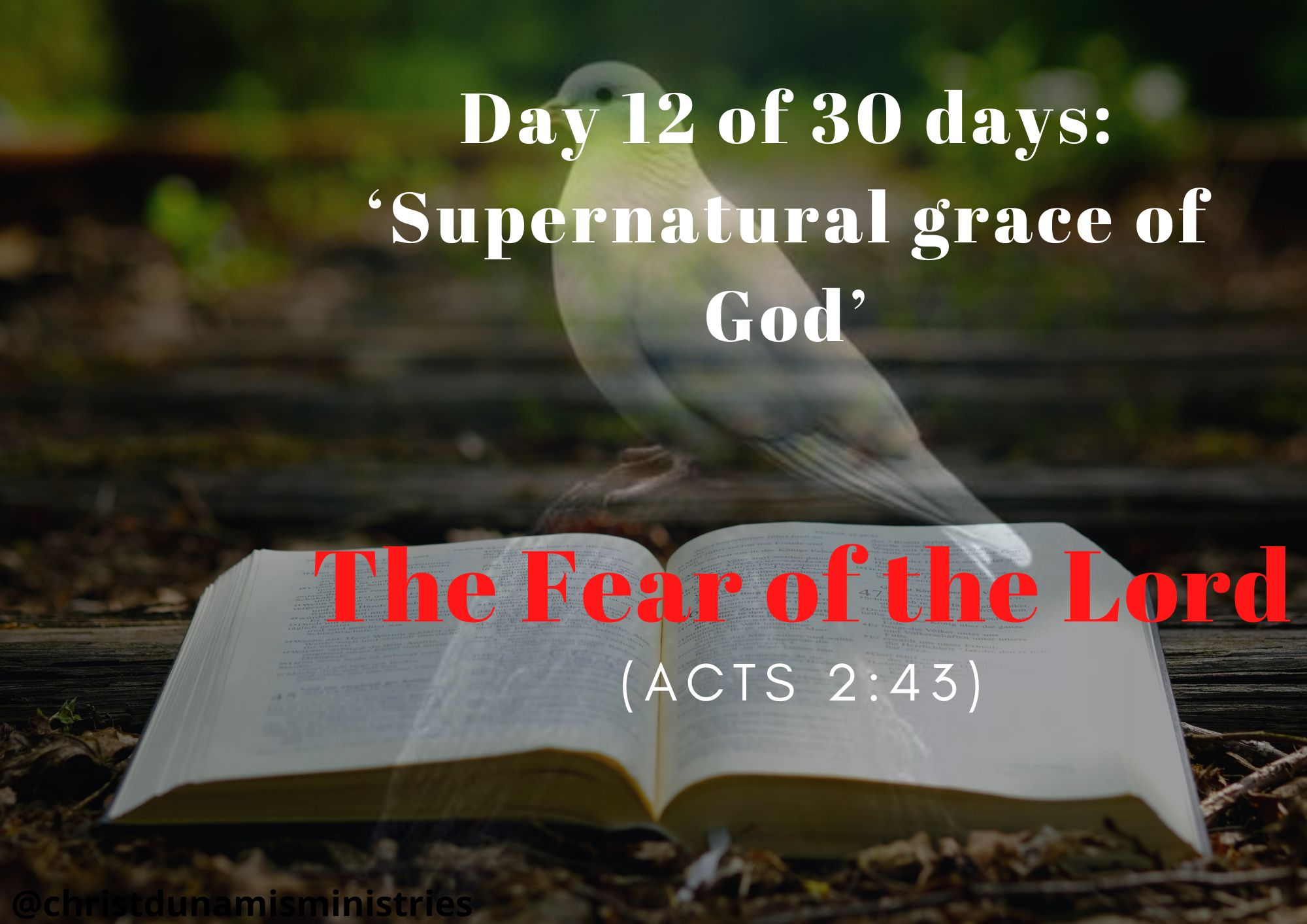 The Fear of the Lord