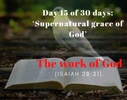 The work of God