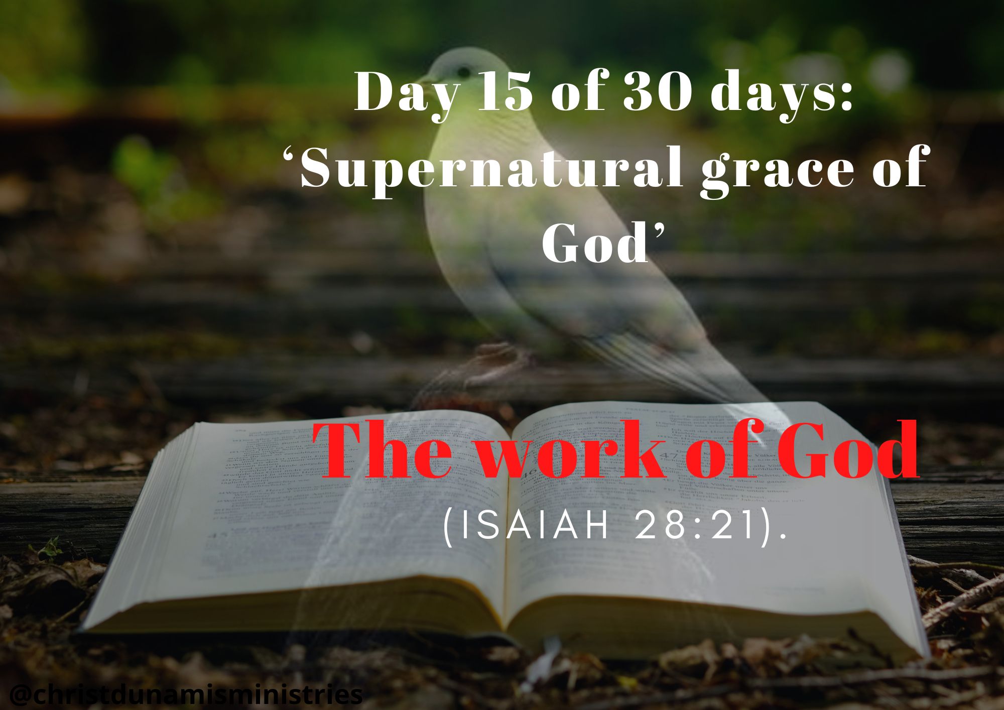 The work of God