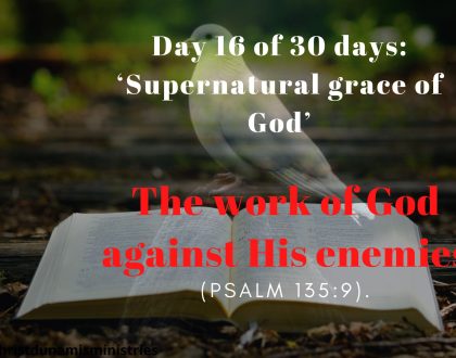 The work of God against His enemies