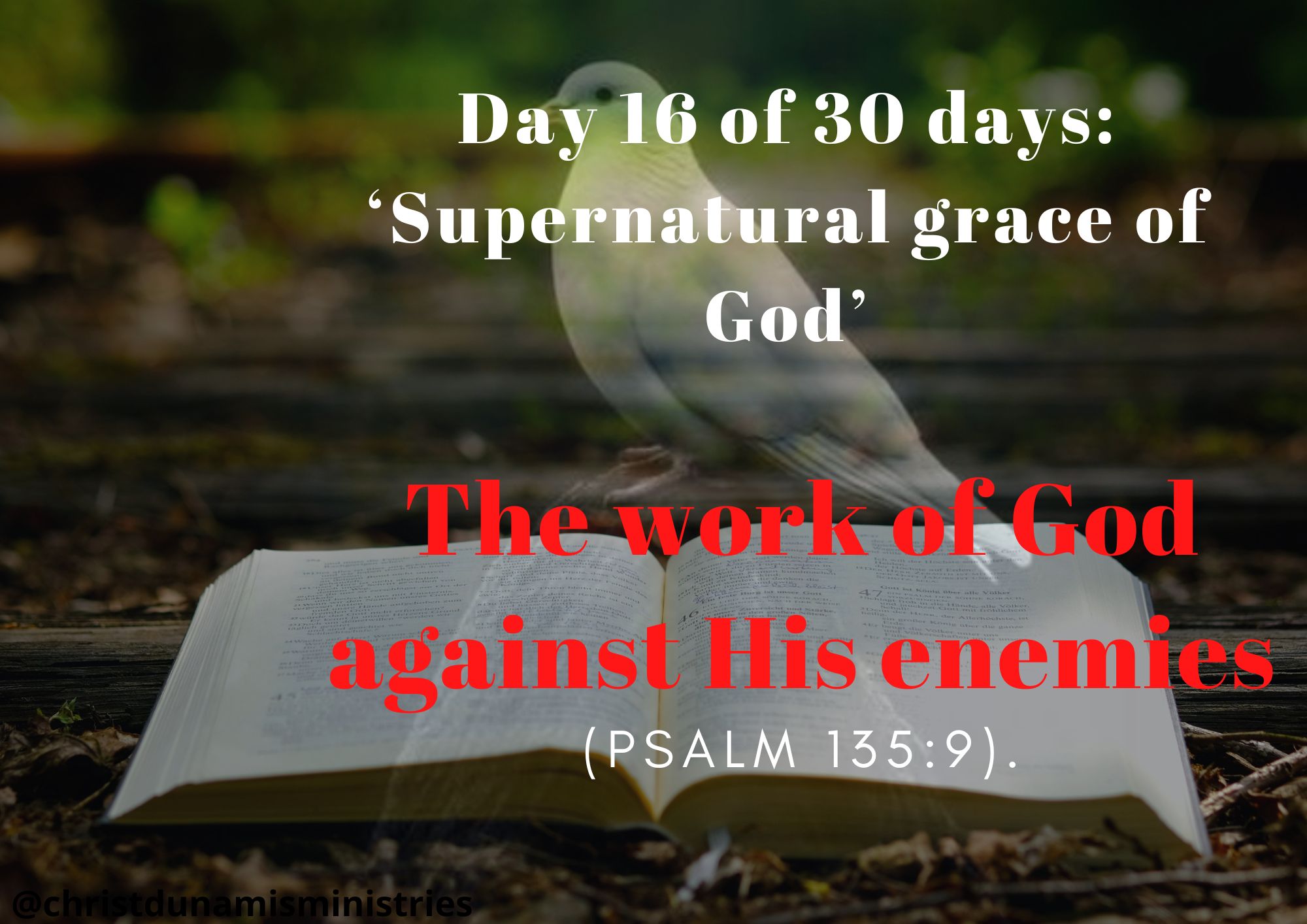 The work of God against His enemies