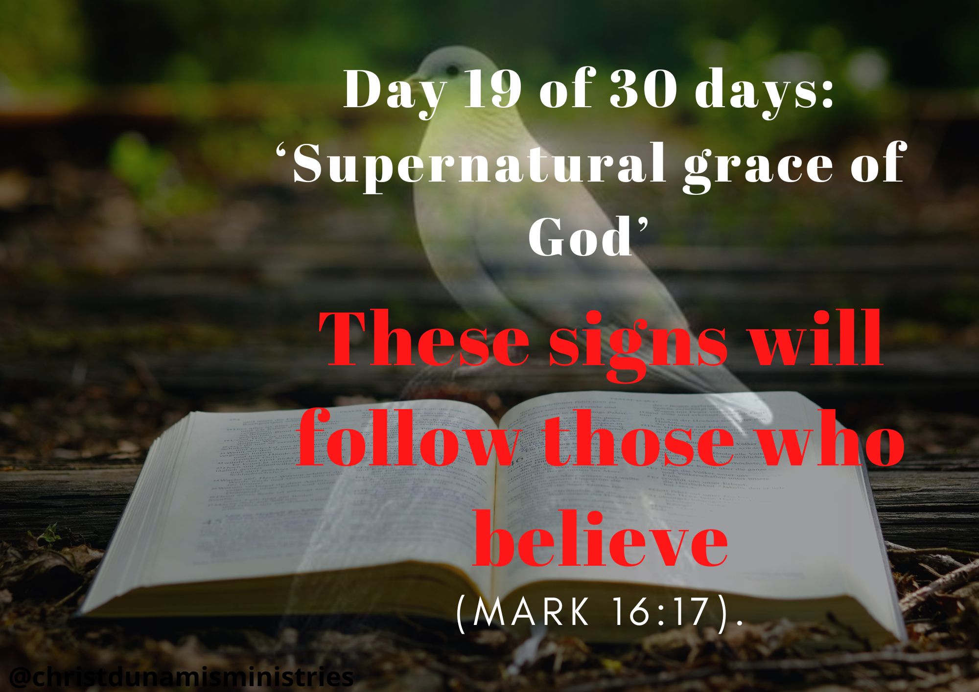These signs will follow those who believe